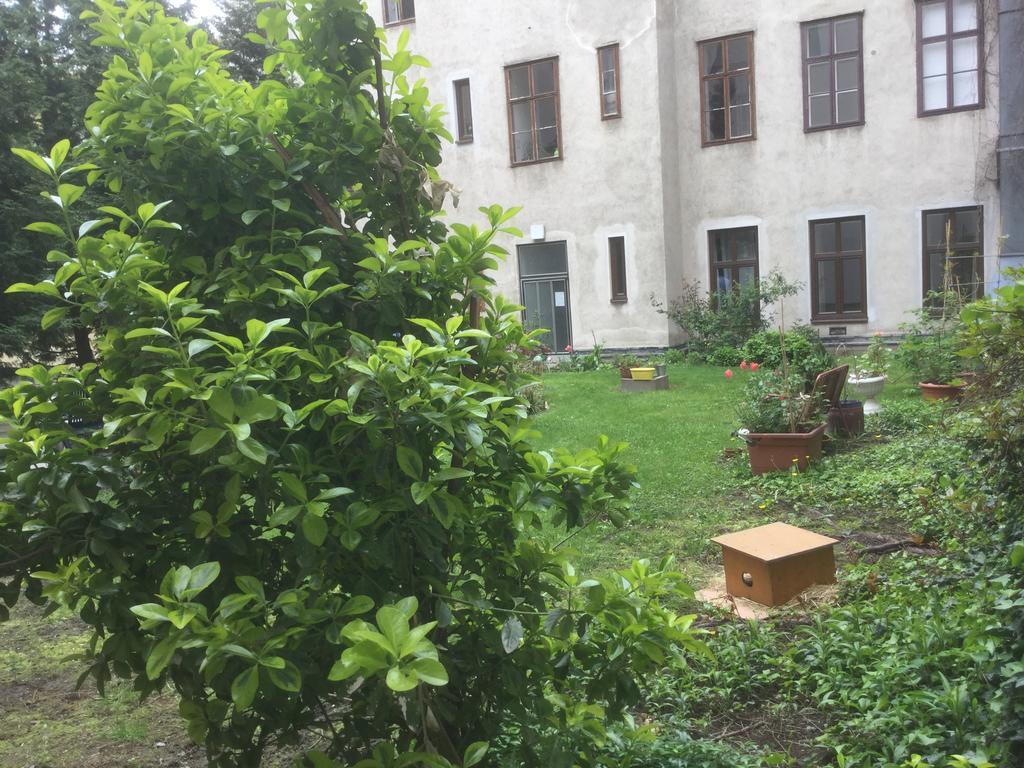 Ajo Central Vídeň Exteriér fotografie